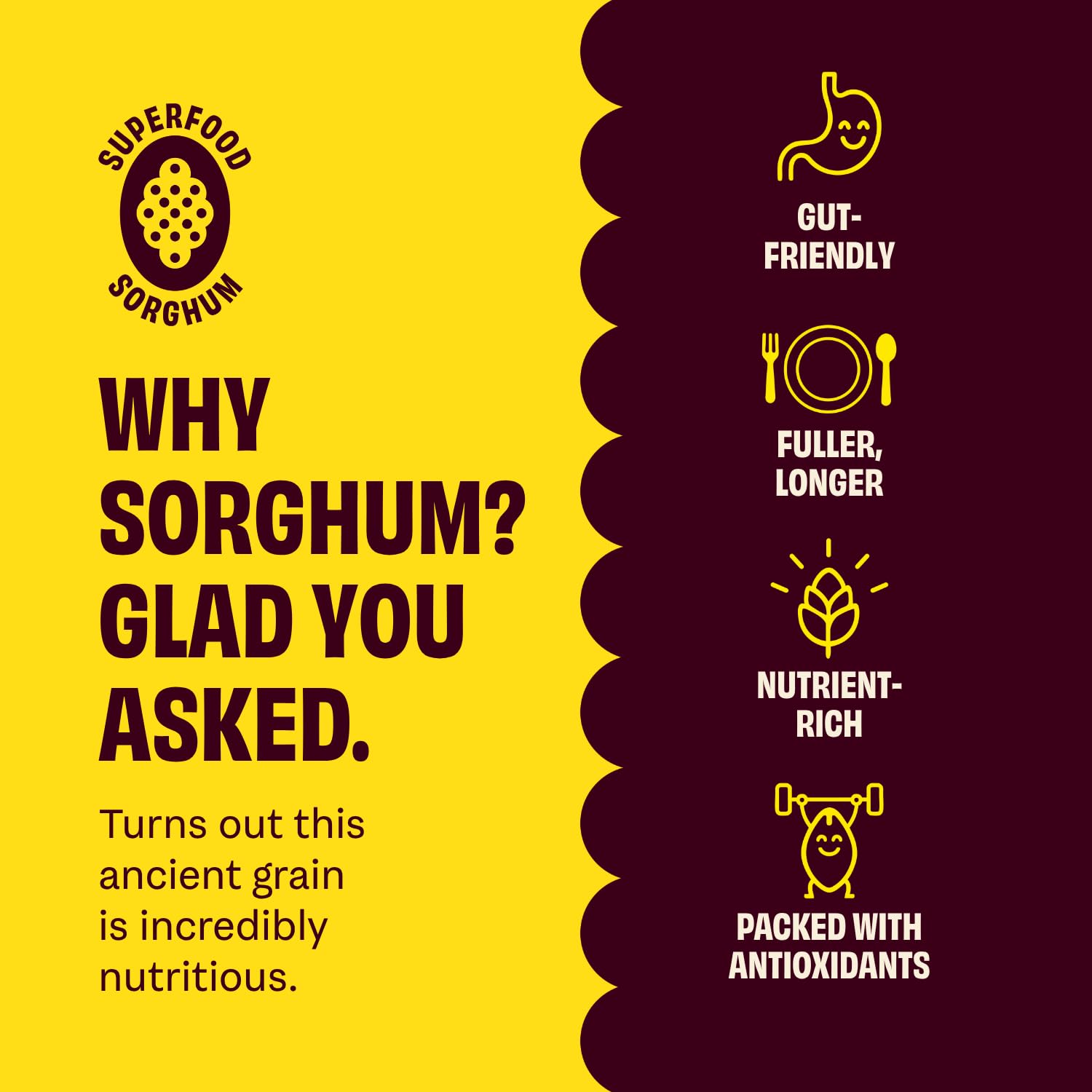 Seriously Cheesy Popped Sorghum – 24 Pack