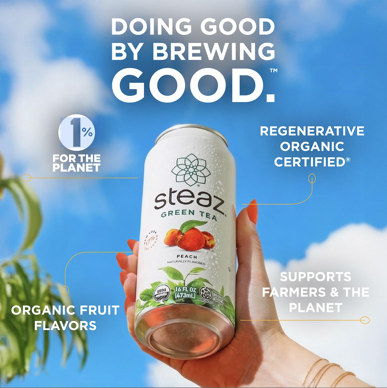 Organic Peach Mango Green Tea – Zero Sugar, 16 fl oz