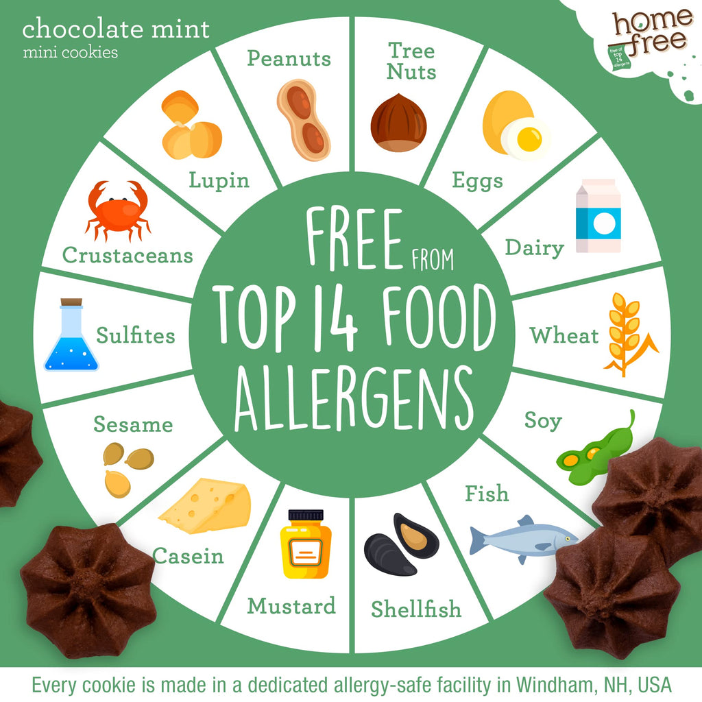 Homefree Double Chocolate Chip Mini Cookies