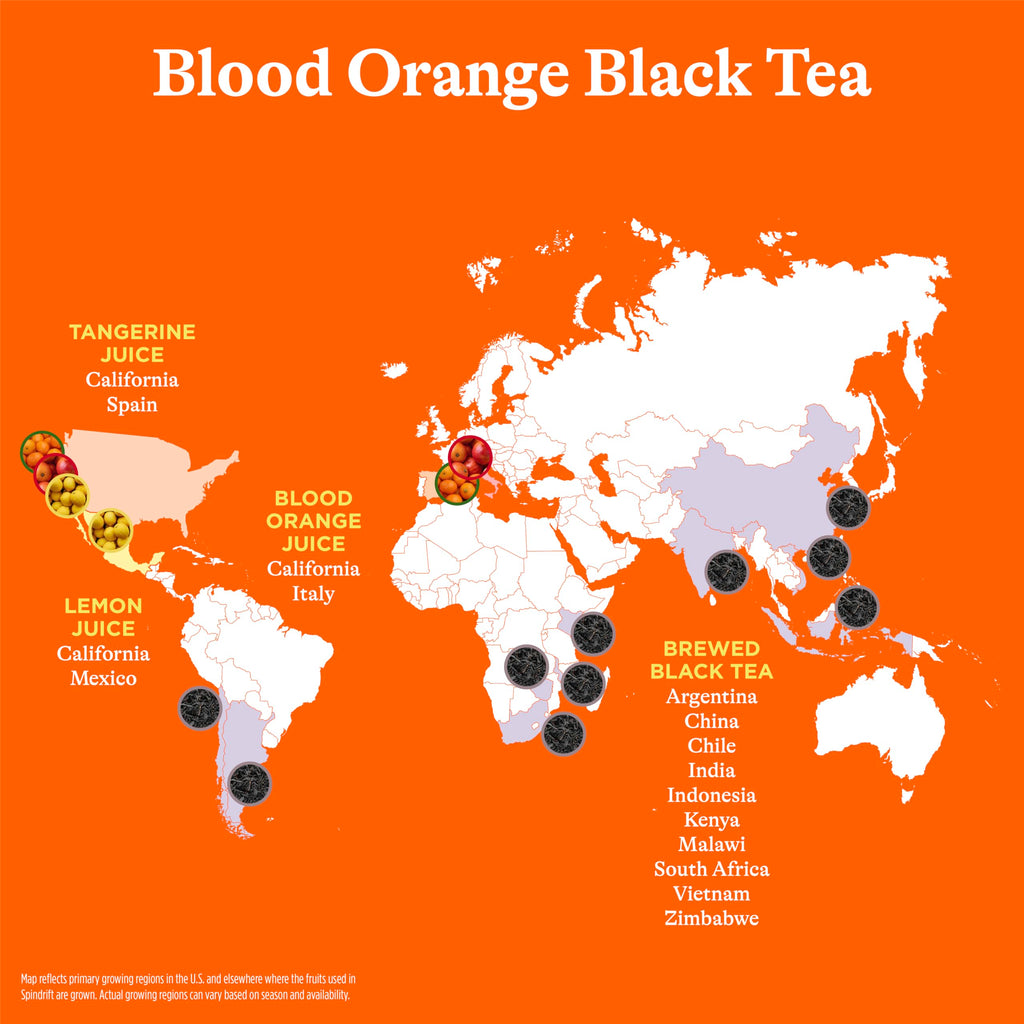 Brewed Iced Tea with Real Fruit – Non-Carbonated