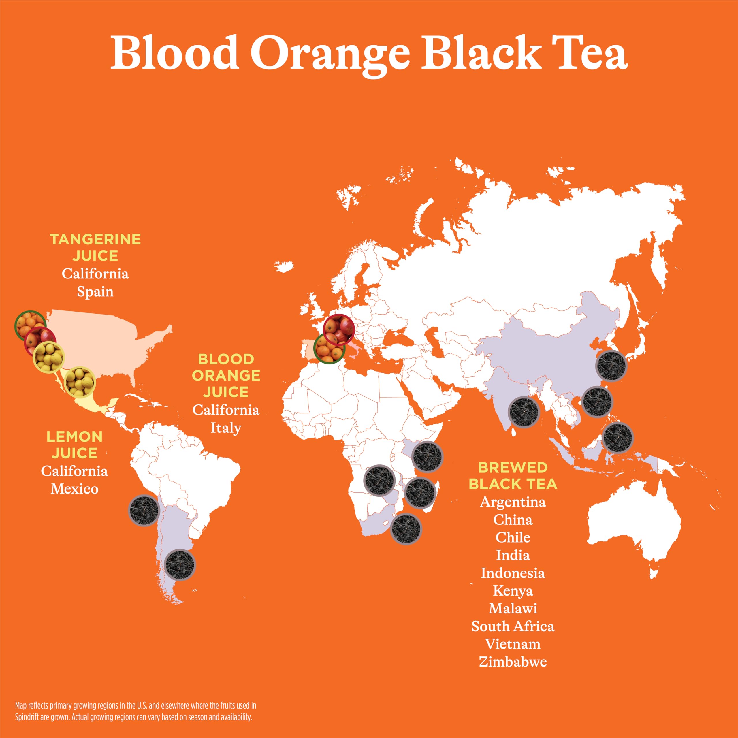 Brewed Iced Tea with Real Fruit – Non-Carbonated